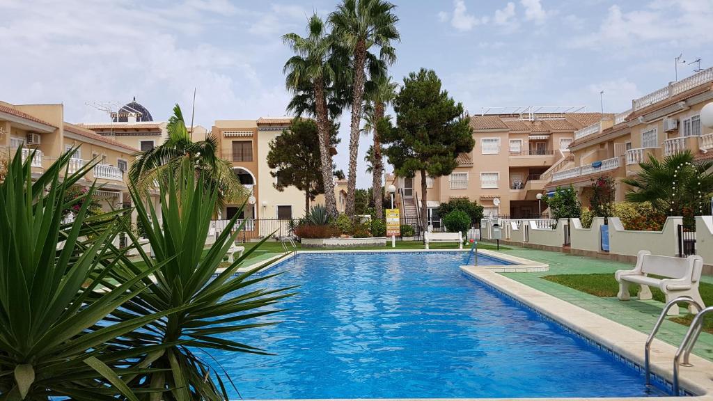 洛斯阿爾卡薩雷斯的住宿－Casa Palma，一座棕榈树和建筑游泳池