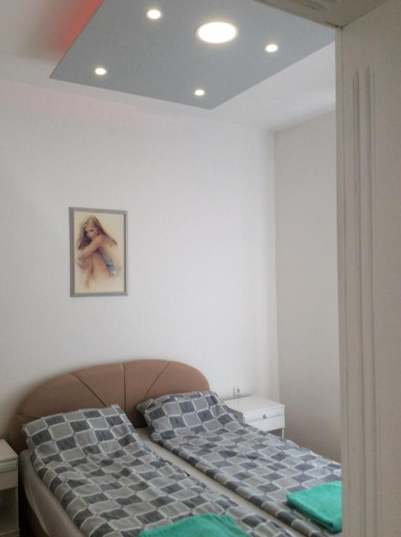 1 dormitorio con 1 cama y una foto en la pared en Apartman Andrea, BN centar, en Bijeljina