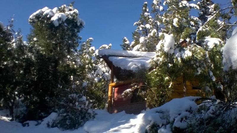uma cabana de madeira na neve com árvores em Cabañas De La Comarca em El Bolsón