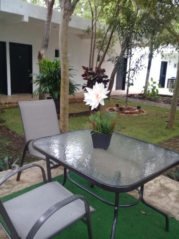 Zahrada ubytování Hotel 41 Valladolid