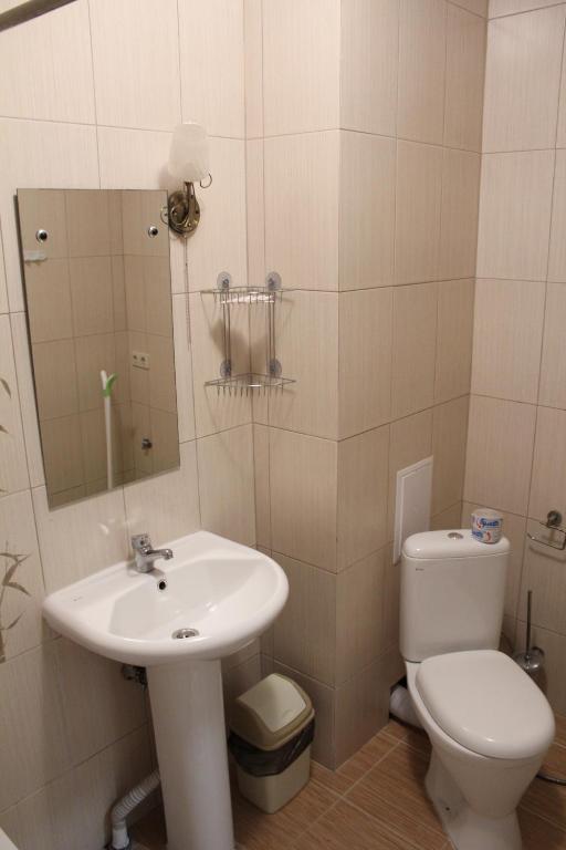 カバルジンカにあるVinograd Guest Houseのバスルーム(洗面台、トイレ付)