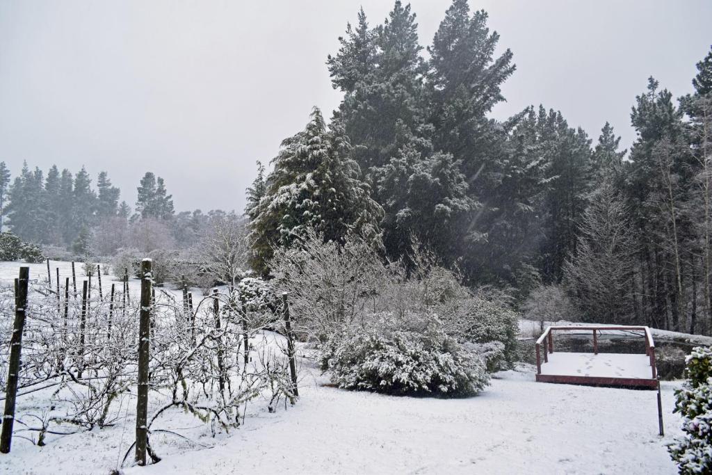a garden covered in snow with trees in the background at Windrush on Hogsback in Hogsback
