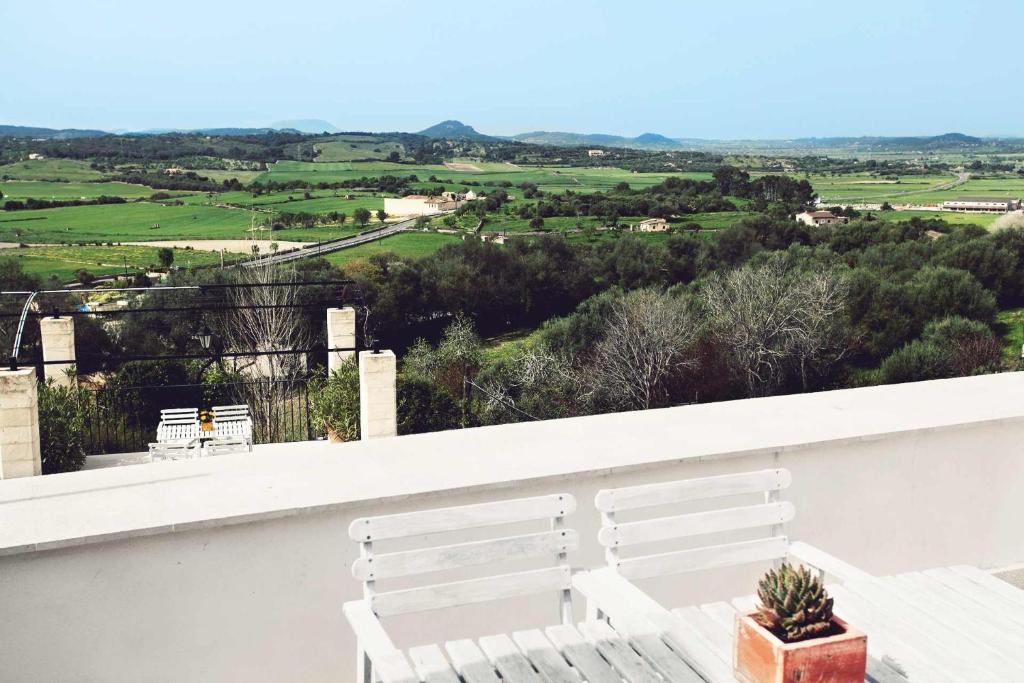 Príroda v okolí hotela