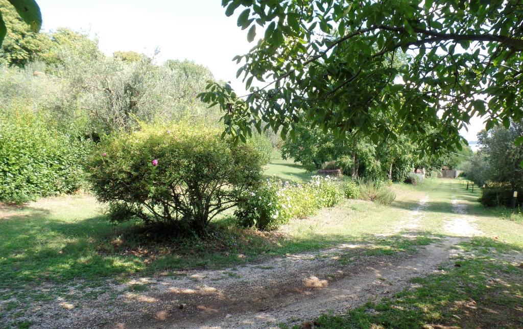 Ogród w obiekcie Poggiolindo B&B