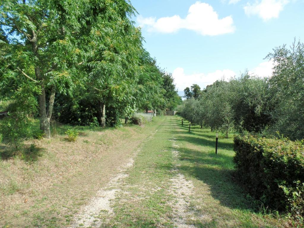 Przyroda w pobliżu tego obiektu B&B