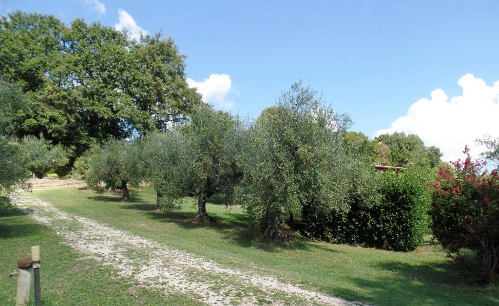 Przyroda w pobliżu tego obiektu B&B