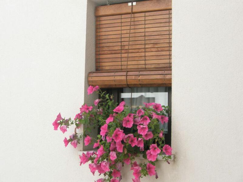 een raam met roze bloemen in een venster bij Apartamentos La Ribera Córdoba in Córdoba