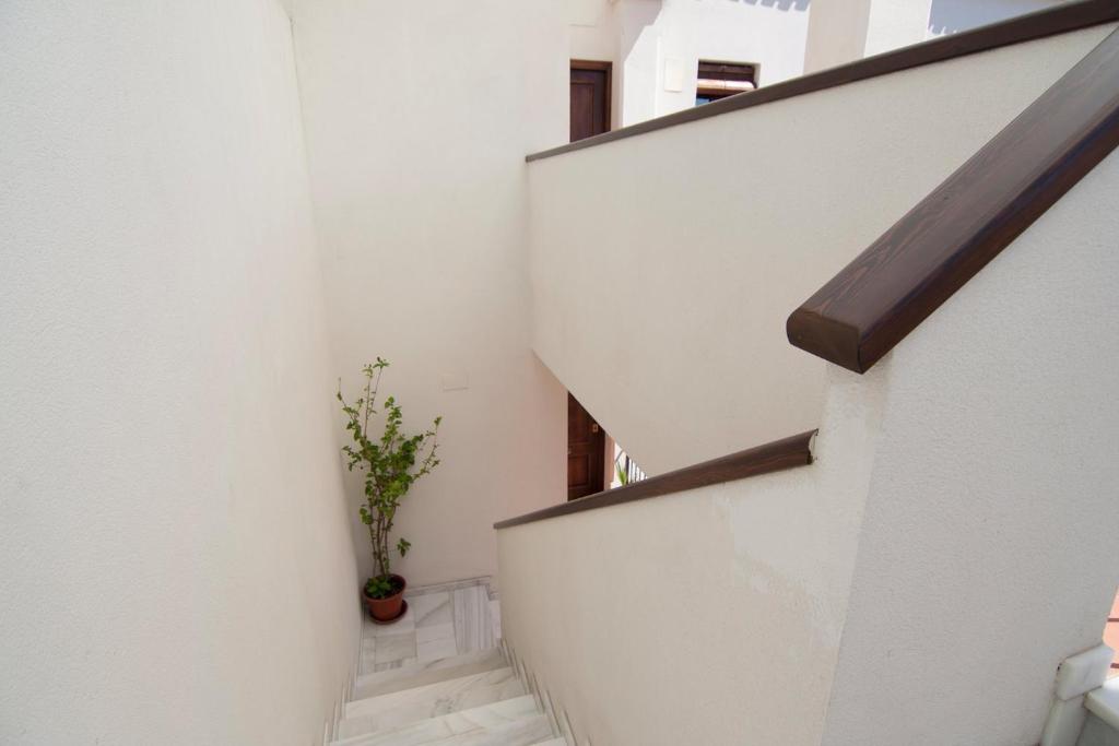 Apartamentos La Ribera Córdoba - 14