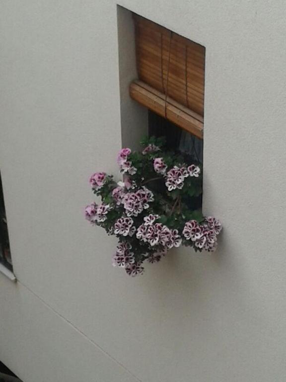 Apartamentos La Ribera Córdoba - 15