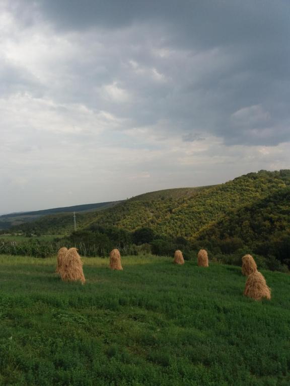 Příroda nedaleko chaty