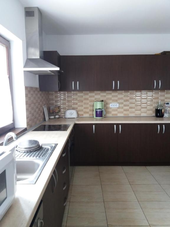 Kuchyň nebo kuchyňský kout v ubytování Vila Aloman