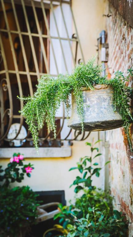 Fotografia z galérie ubytovania Babacco Lovely Terrace v destinácii Montepulciano