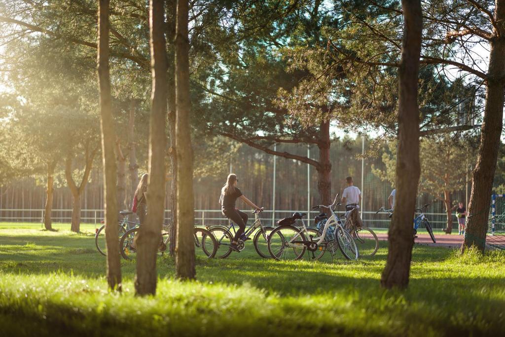 Jízda na kole v ubytování Hotel Kawallo nebo okolí