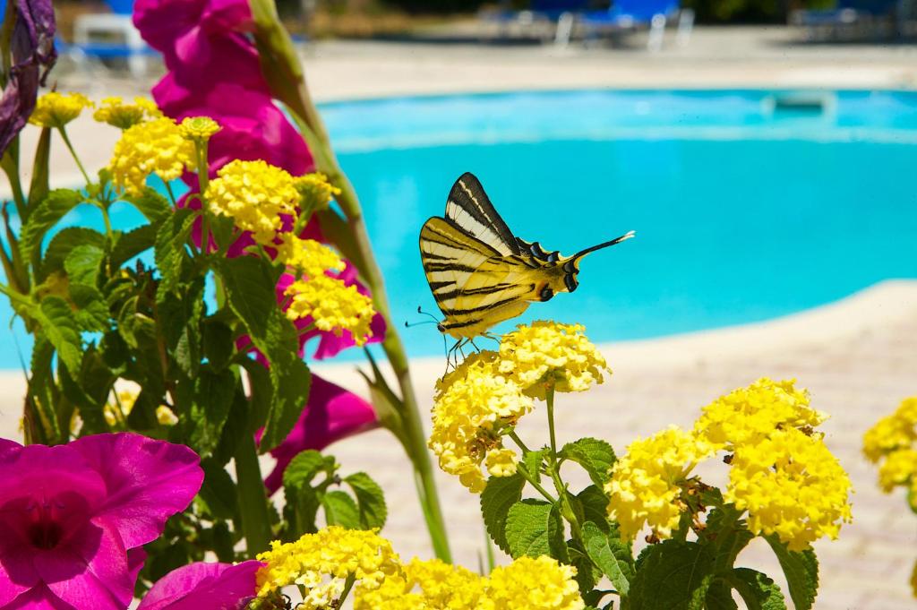 Nikos Studios and Apartments - 16