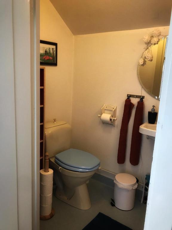 Koupelna v ubytování Det Gamla Panget