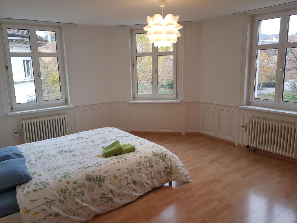 チューリッヒにあるHomestay Zurich Cityのベッドルーム1室(ベッド1台、窓2つ付)