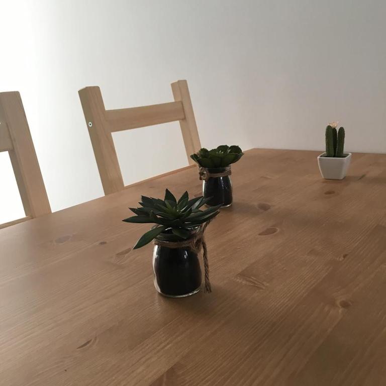 two potted plants sitting on top of a wooden table at Casinha in Faro