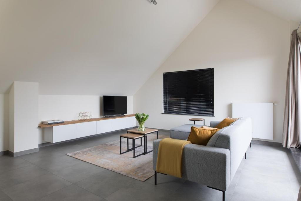 TV a/nebo společenská místnost v ubytování Raveel Lofts