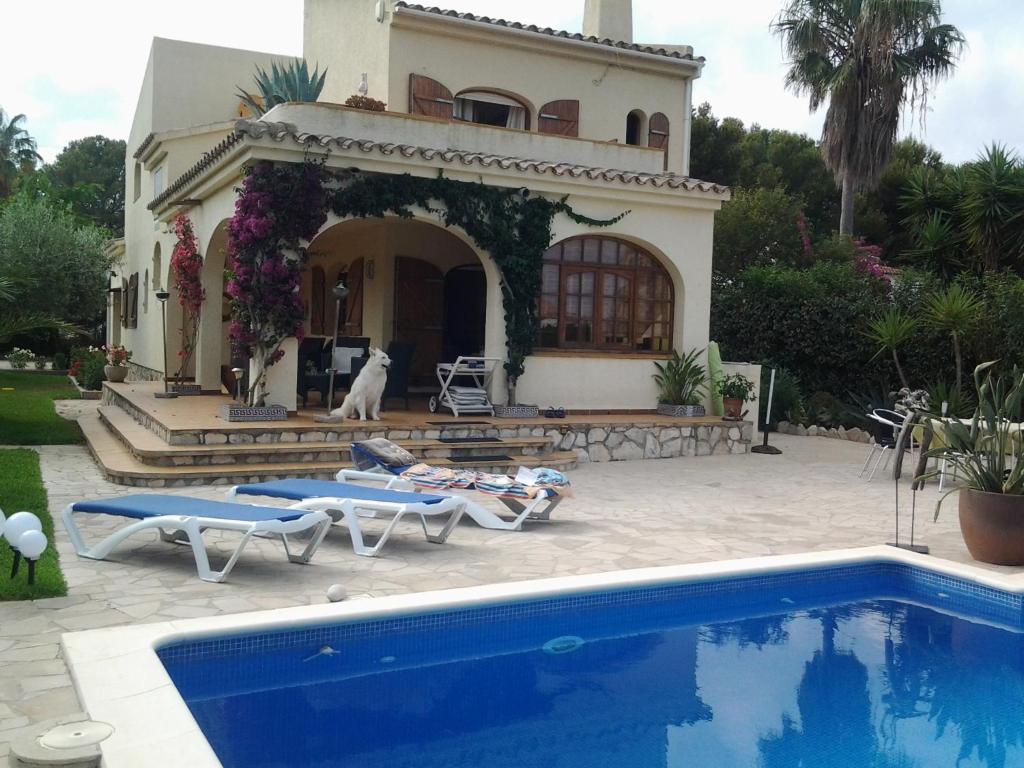a dog sitting in front of a house with a pool at Meier's in L'Ametlla de Mar