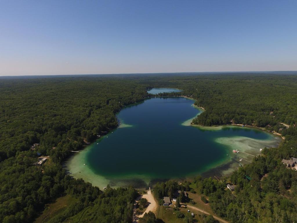 an aerial view of a lake in the woods at Log Cottage on Blue Lake in Kalkaska