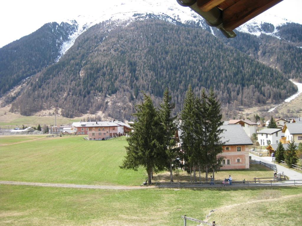 a green field with trees in front of a mountain at Hotel Pizzeria Selva in Zernez
