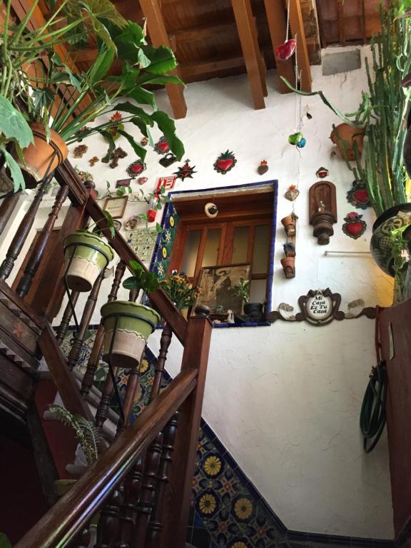 Fotografie z fotogalerie ubytování Casa de Pita v destinaci Guanajuato
