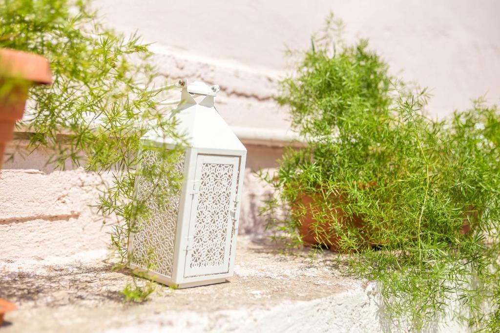 Iatridis Studios Faliraki - 14