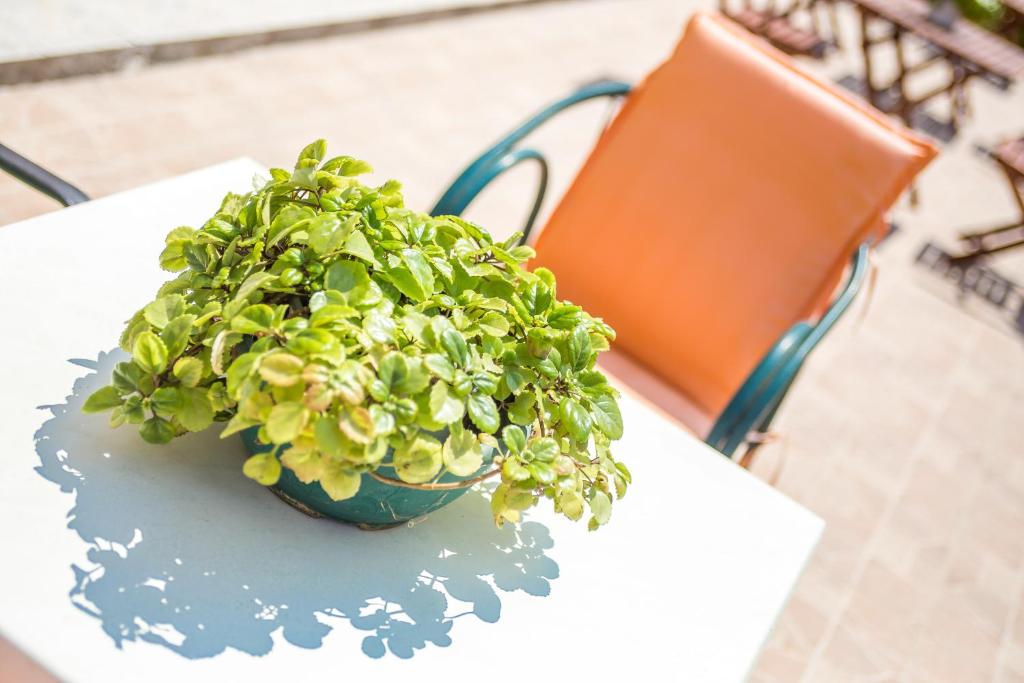 Iatridis Studios Faliraki - 12