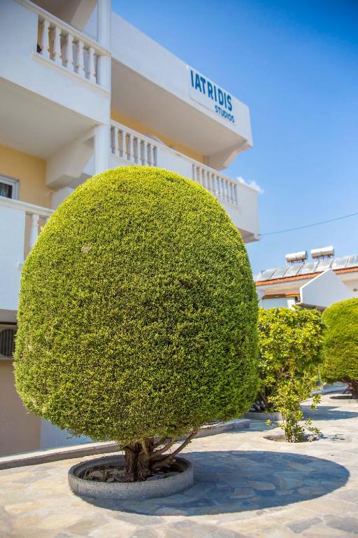 Iatridis Studios Faliraki - 4