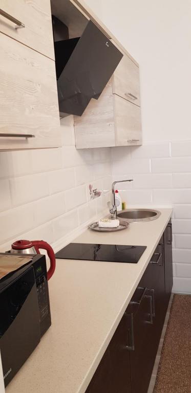 Apartment in Balti - 
