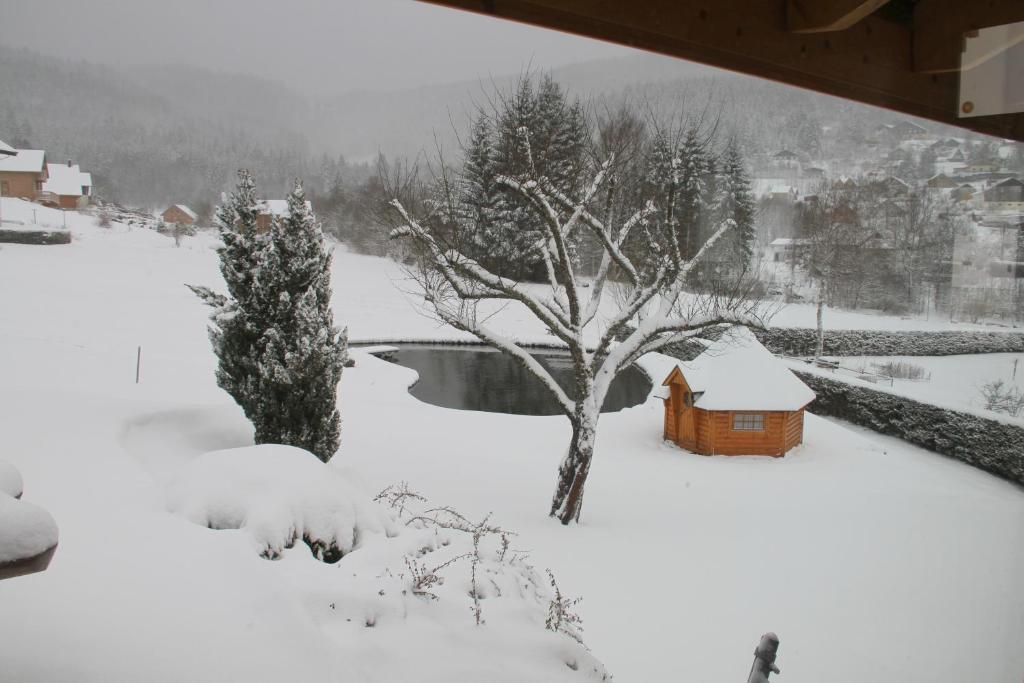 Fotografie z fotogalerie ubytování Chalet centaurée - Rémy HEROLD v destinaci Xonrupt-Longemer