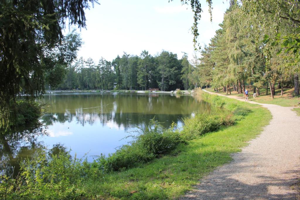 Příroda nedaleko apartmánu