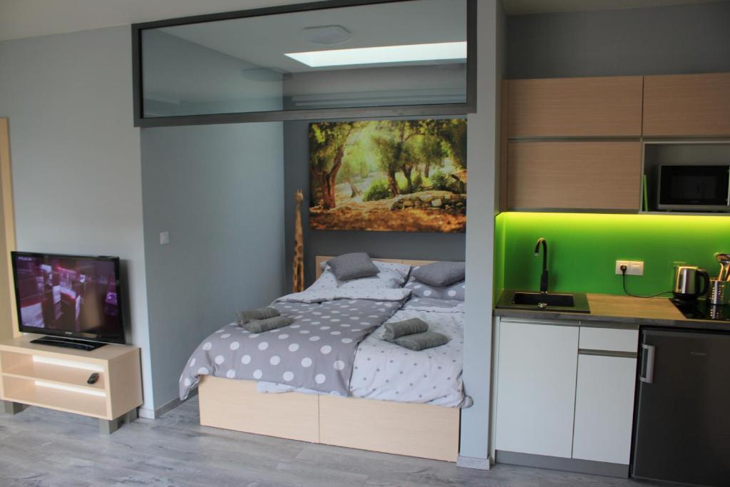 Kuchyň nebo kuchyňský kout v ubytování Apartments Severka