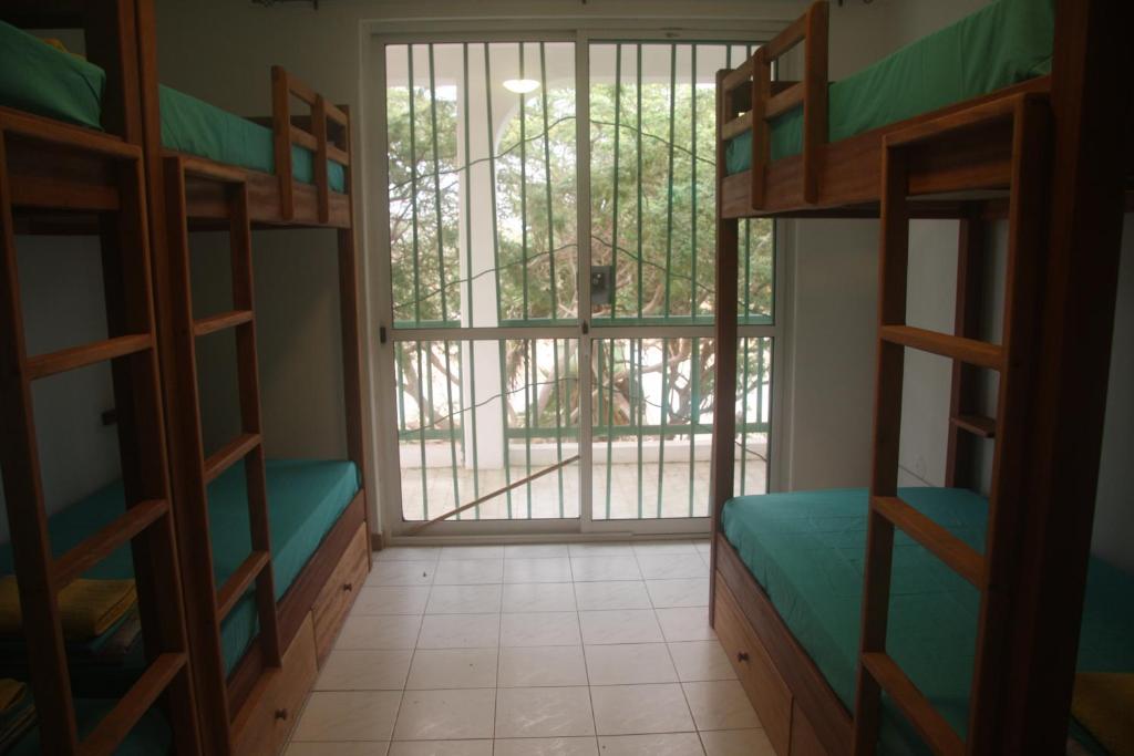 Surf House Hostel - 混合宿舍房间的双层床
