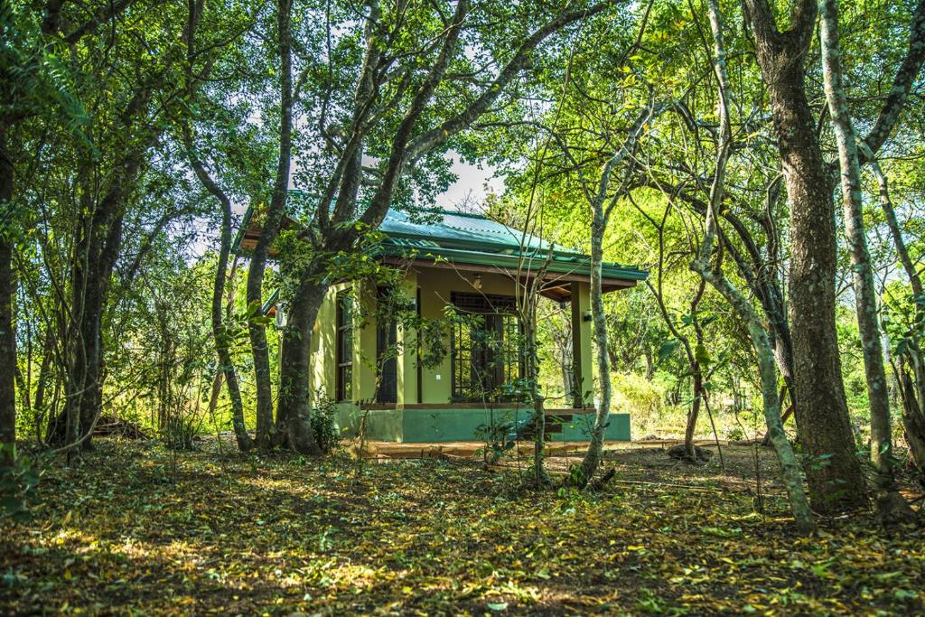Zahrada ubytování Wadula Safari - Yala