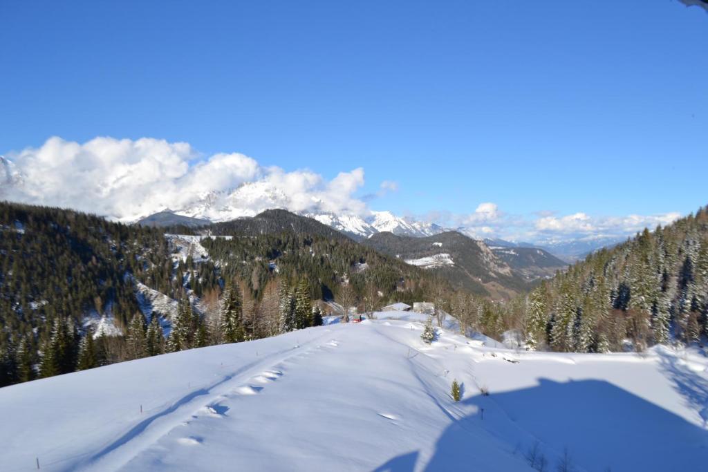 Innviertler Berggasthof - 9