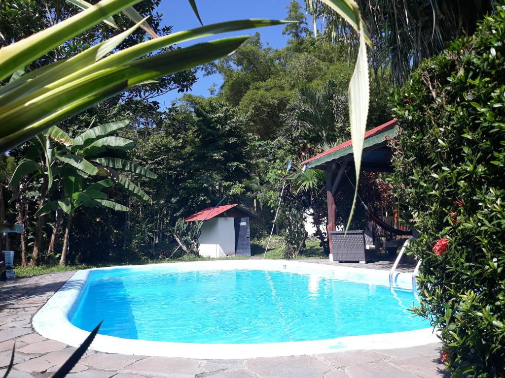 a large blue swimming pool next to some bushes at Cabinas Nirvana Ecolodge in Cahuita