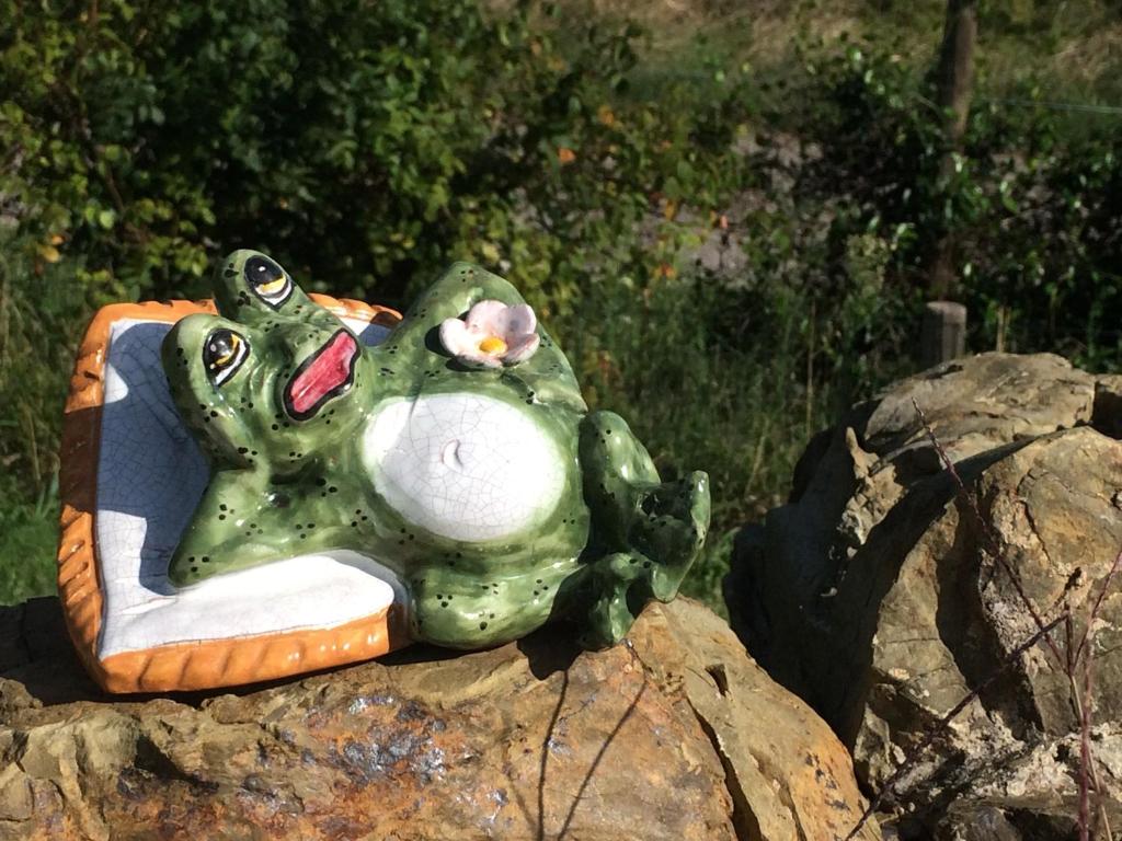 ein Frosch auf einem Stuhl auf einem Felsen in der Unterkunft Casetta Tartuchino in Semproniano