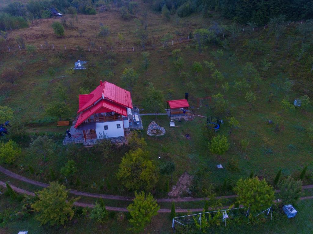 a small house with a red roof on a hill at Casa Roman in Vişeu de Sus