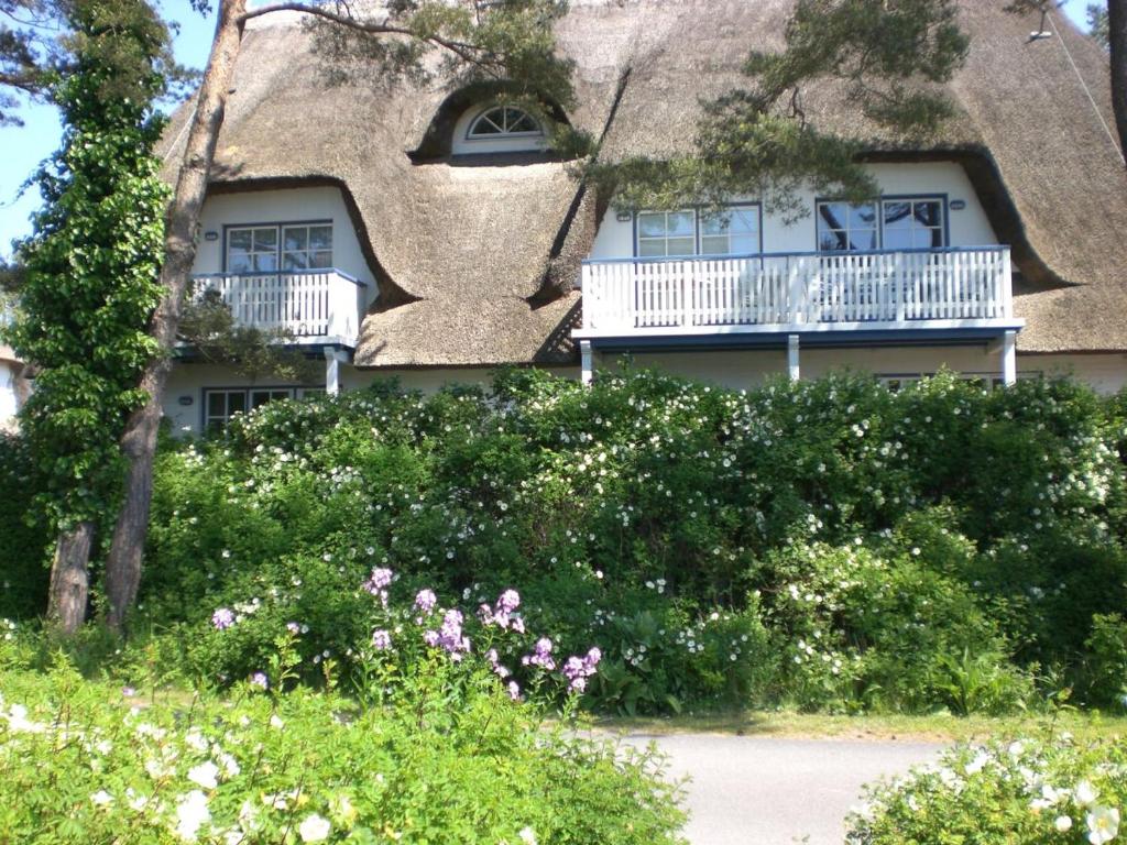 ツィングストにあるAchtern - Diek - am Strandの草ぶきの家(バルコニー、花付)