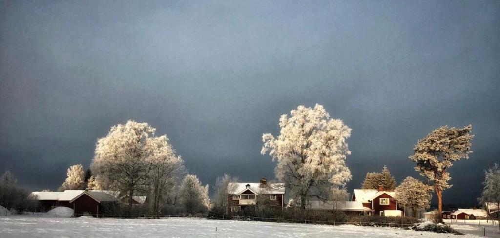 Det Gamla Panget v zimě