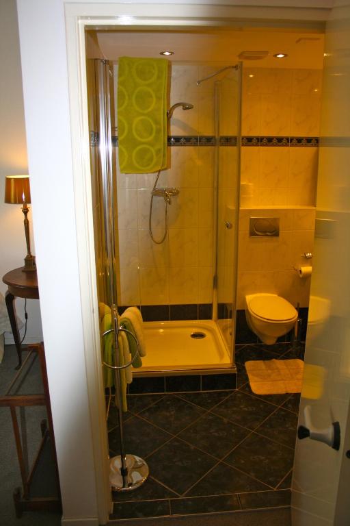 a bathroom with a shower and a toilet at Villa 't Haasduin in Wijk aan Zee