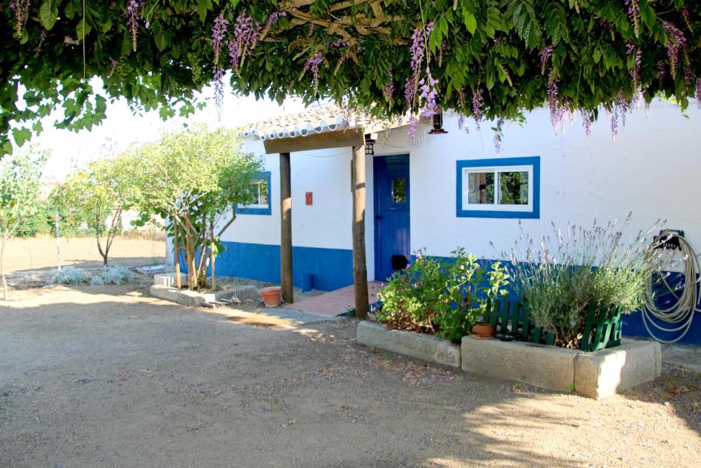un edificio blanco con una puerta azul y algunas plantas en Monte da contenda en Campo Maior