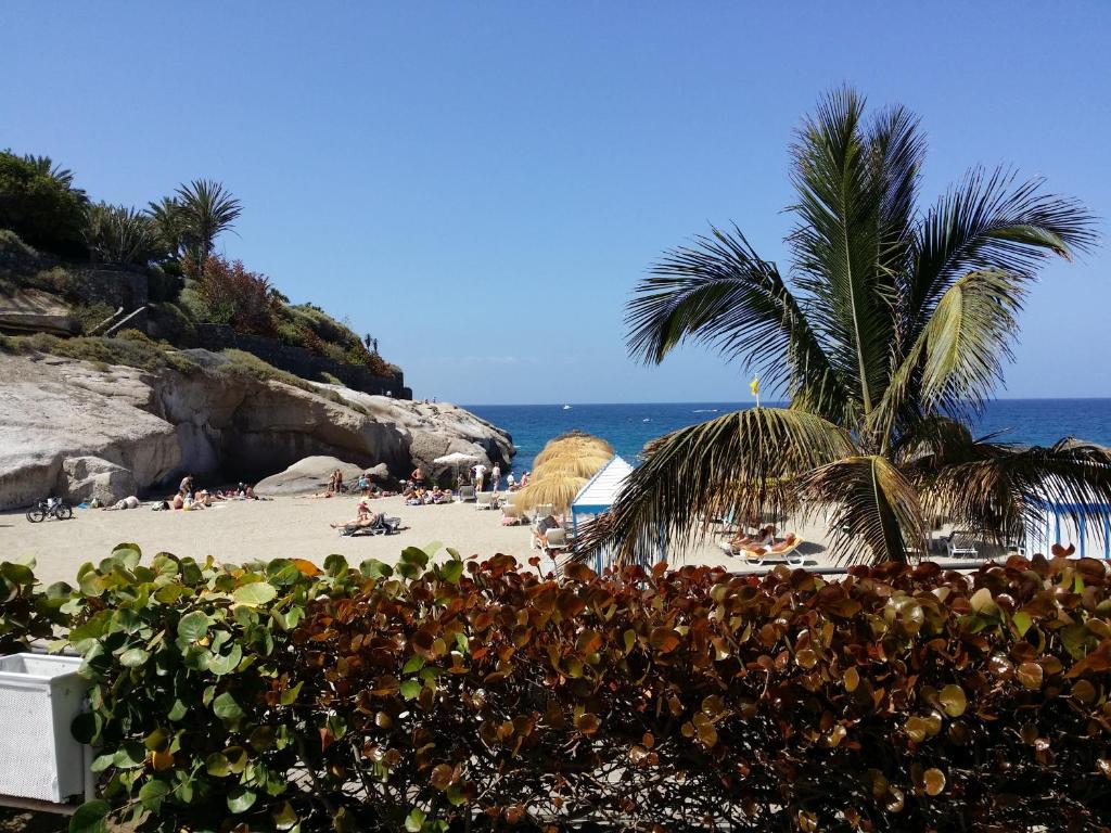 a sandy beach with a palm tree and the ocean at Benimar in Adeje