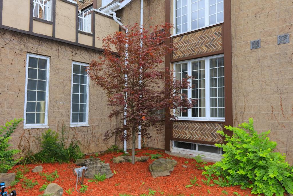 Fullerton Manor Inn - Resim 37