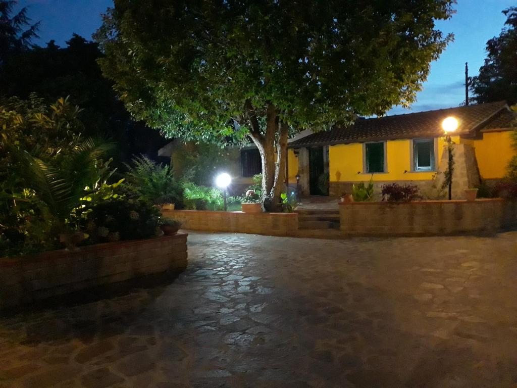 Zahrada ubytování La Camelia B&B