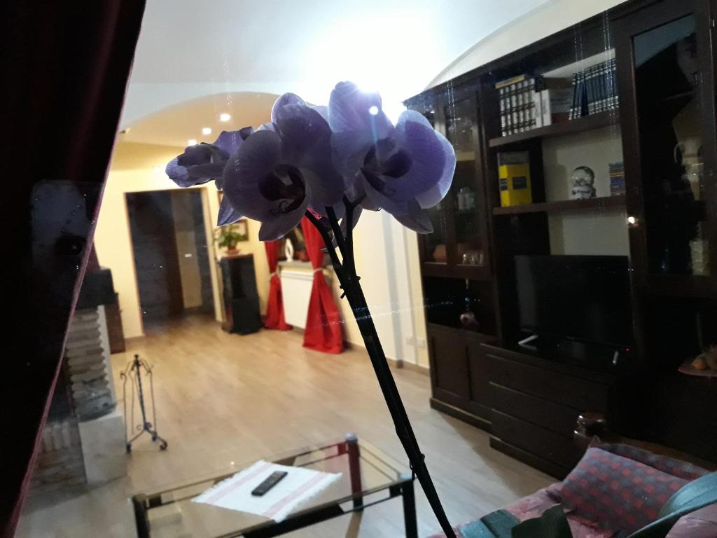 Fotografie z fotogalerie ubytování La Camelia B&B v destinaci Velletri