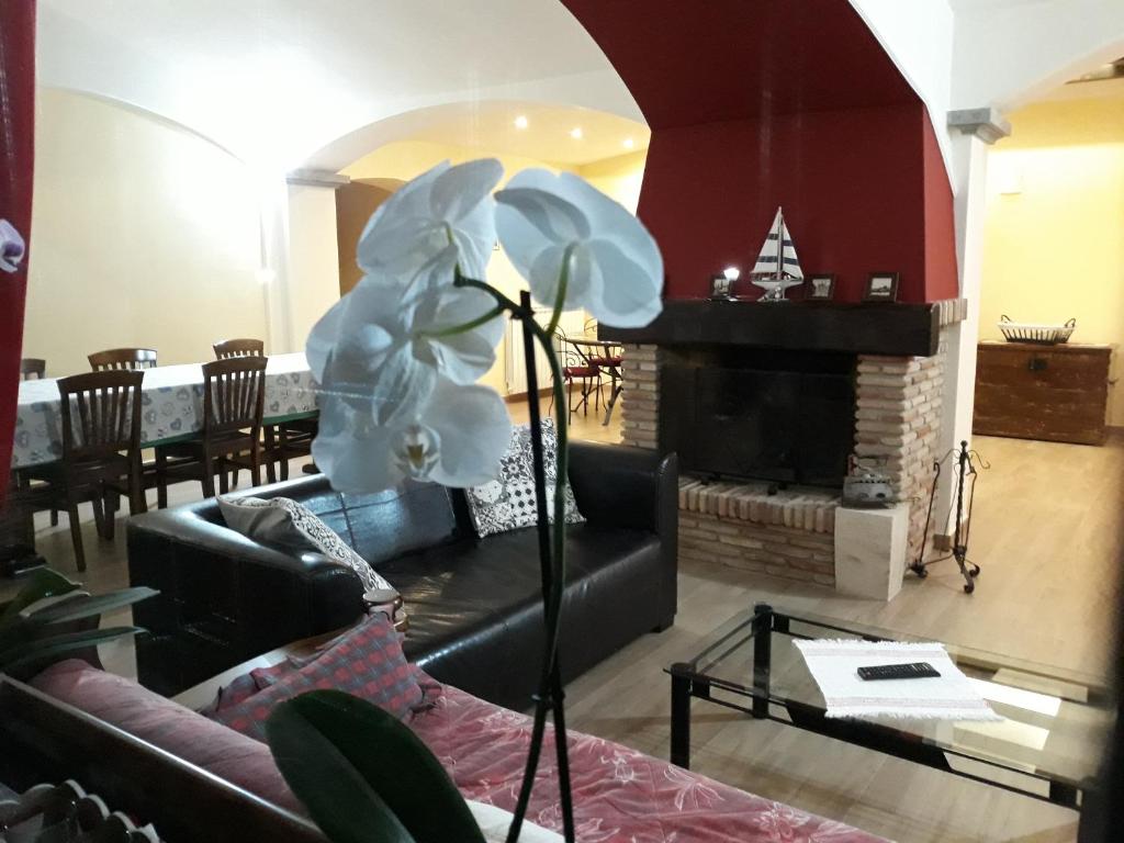 Posezení v ubytování La Camelia B&B
