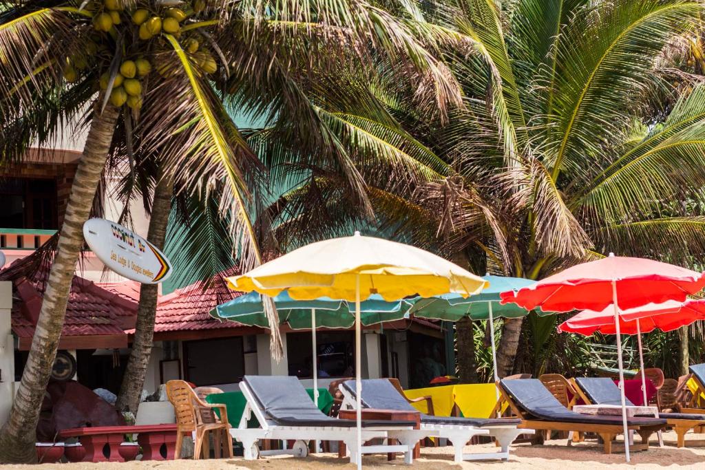 a group of chairs and umbrellas on a beach at Hotel Coconut Bar Sea Lodge in Beruwala