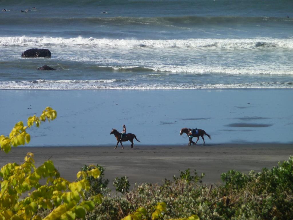 two people are riding horses on the beach at 49 on Jans Beach Break in Oakura